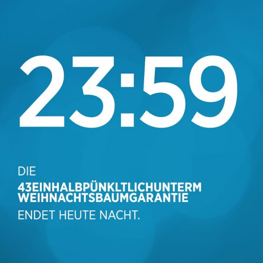43einhalb-pünktlich-unterm-Weihnachtsbaum-Garantie