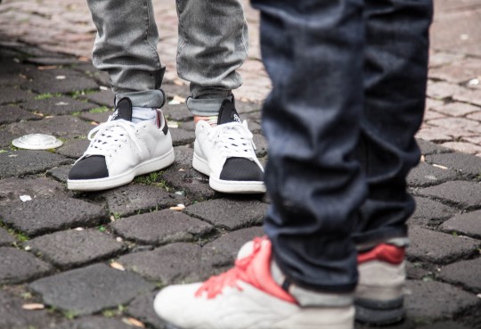 ovis-release-14