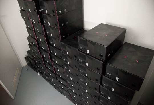 ovis-release-9