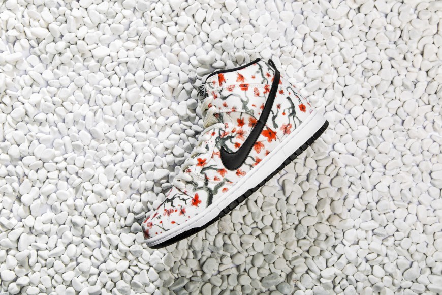 nike-dunk-high-pro-sb-305050-106-3