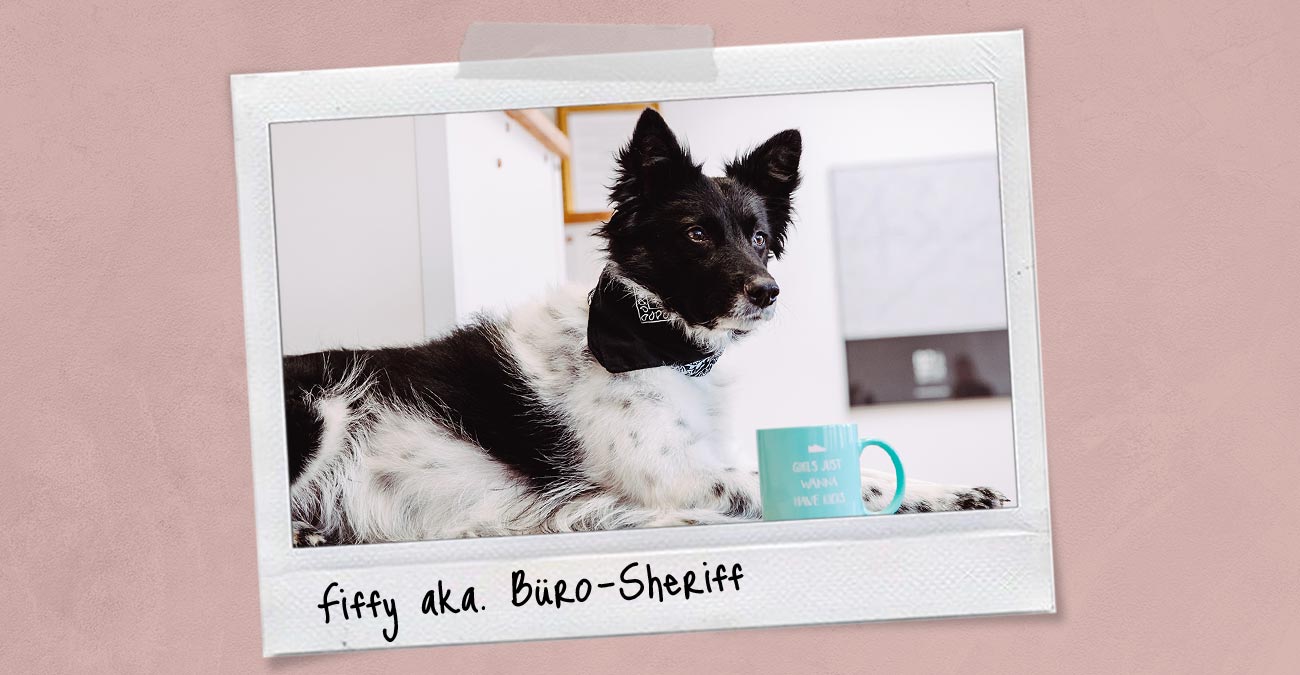 Meet Fiffy