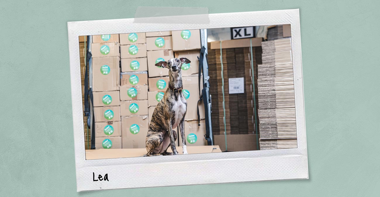 Meet Lea