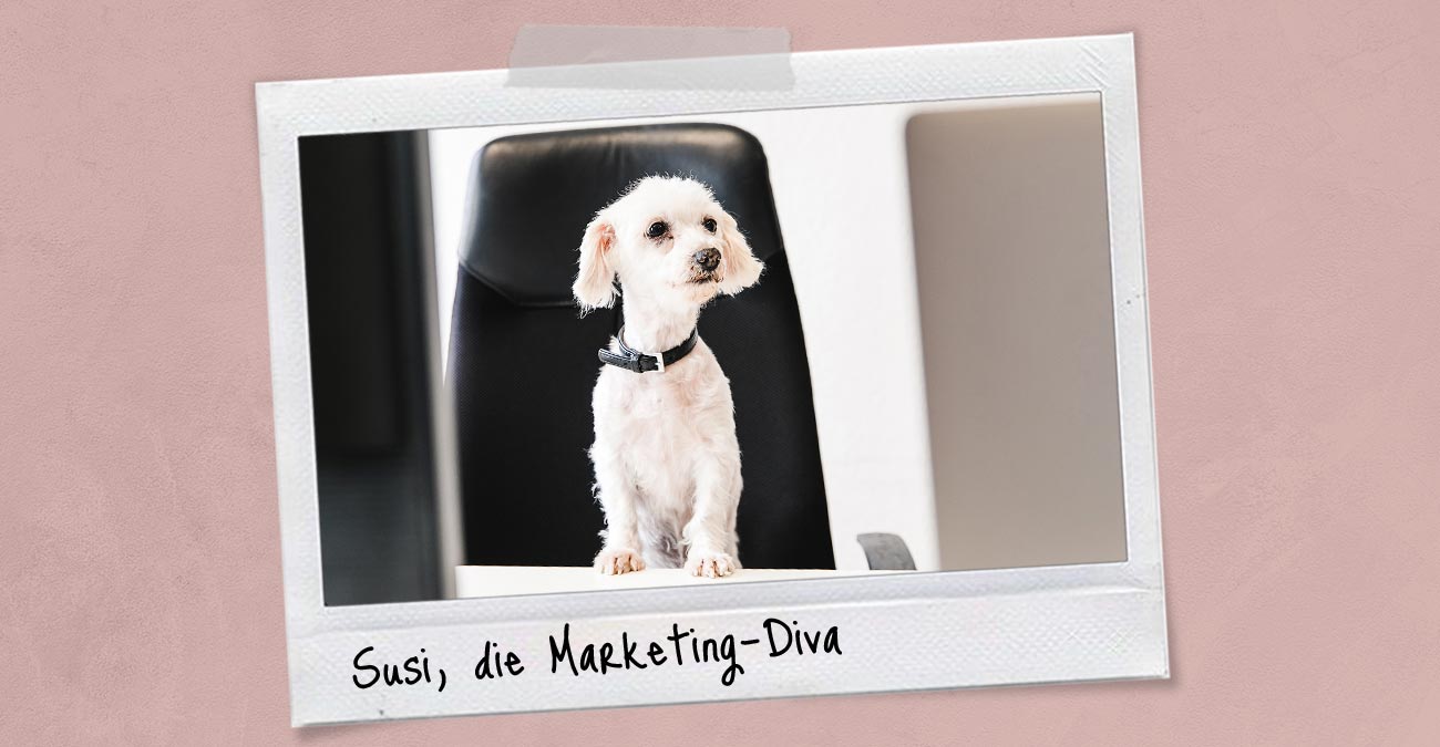 Meet Susi