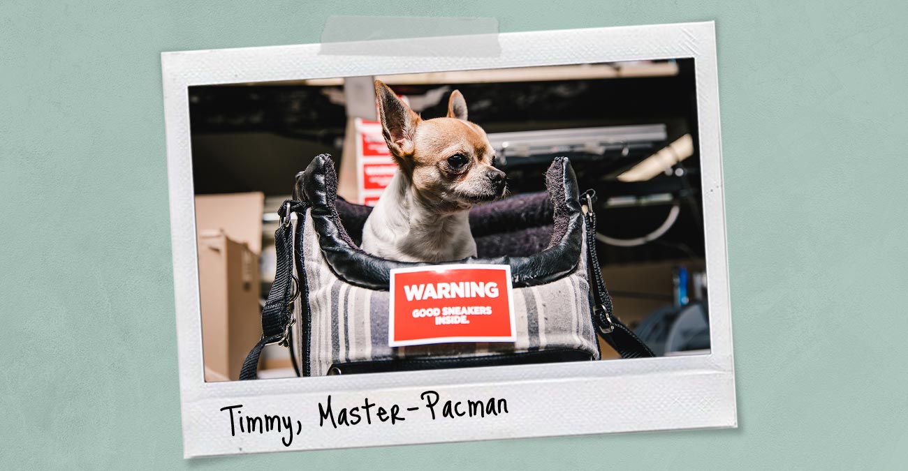 Meet Timmy