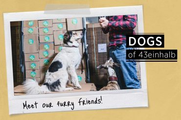 Dogs of 43einhalb