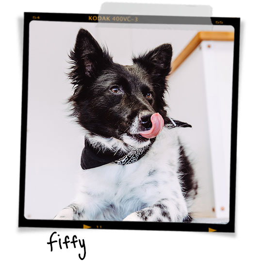 Fiffy