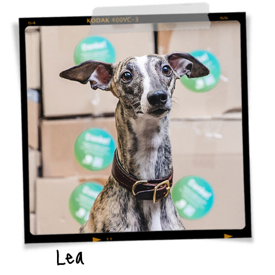 Lea