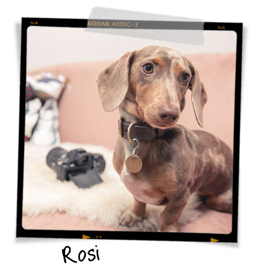 Rosi