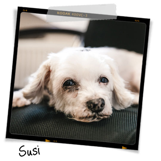 Susi
