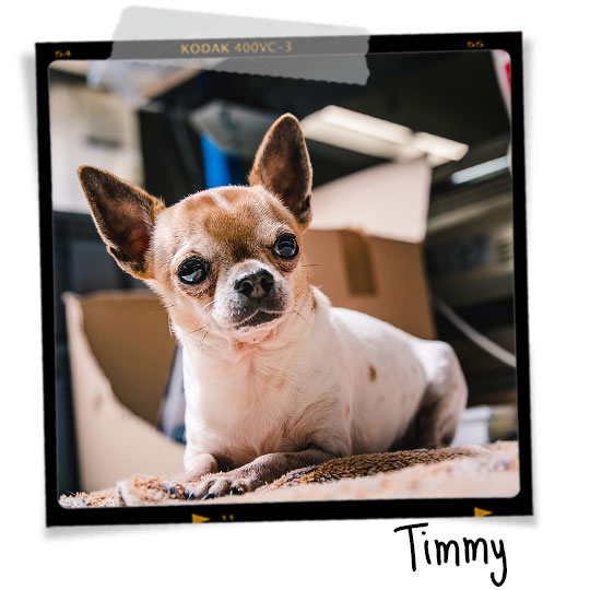 Timmy