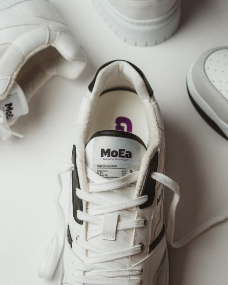 Moea-MOEA-BASGN2-03-MOEA-BASGN2-04-Feed-02