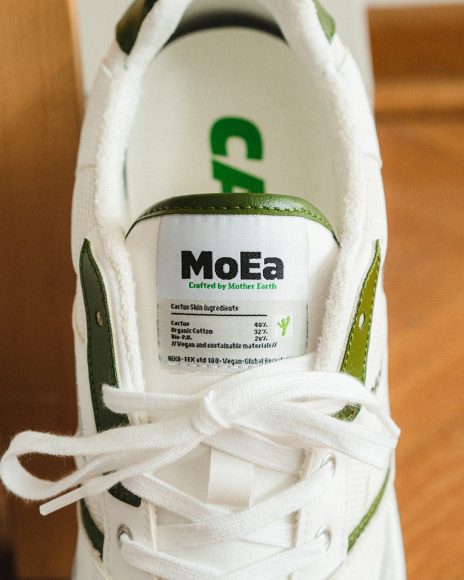 Moea-MOEA-BASGN2-06-Feed-03