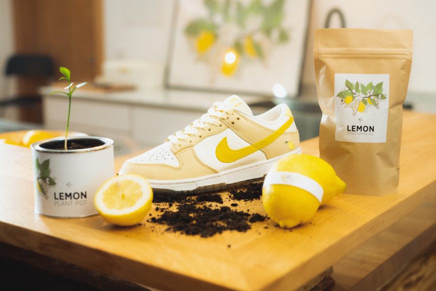 themoldernway_43einhalb_dunk_lemon_social-10