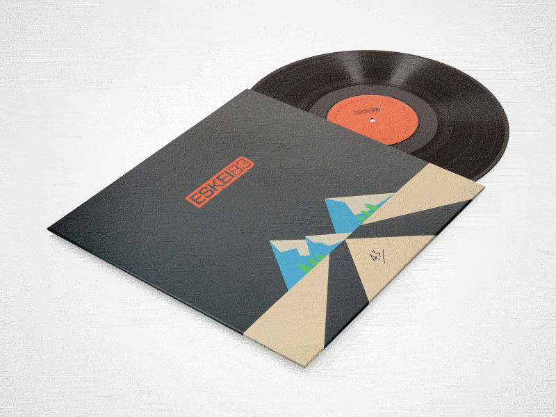ZX-JP_Limited-Goodies_Vinyl