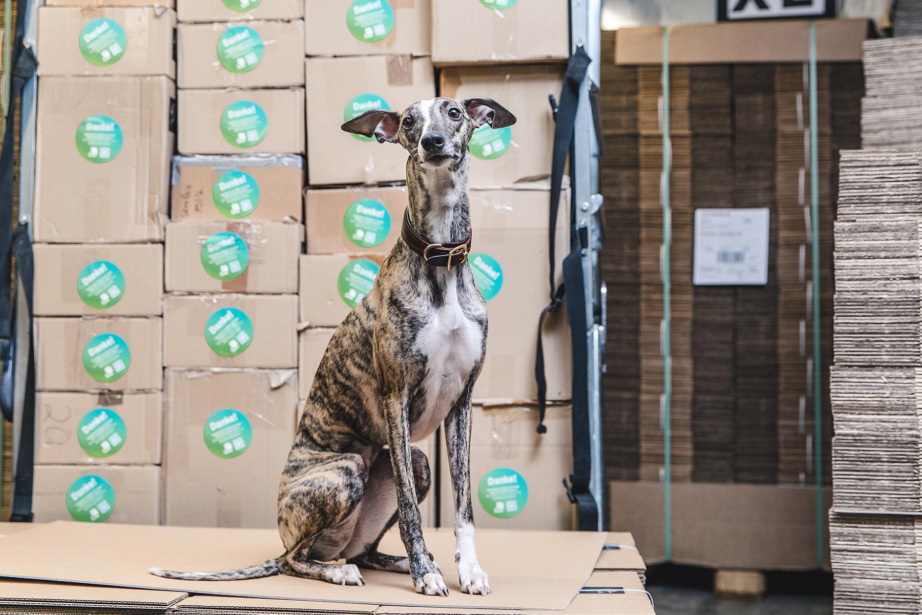 Footprint Reusable Versand im gebrauchten Karton