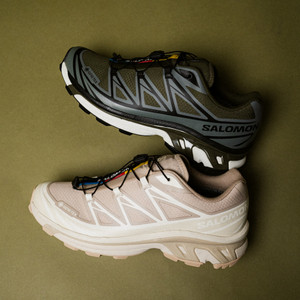 XT-6 GTX (oxford tan / almilk / sfari)