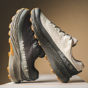 Agility Peak 5 Gore- Tex (beluga / talus)