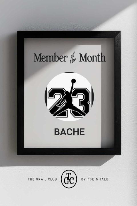 Member of the Month February 2026